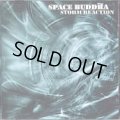 Space Buddha / Storm Reaction