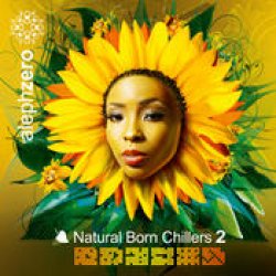 画像1: V.A / Natural Born Chillers 2