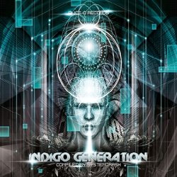 画像1: 【お取り寄せ】 V.A / Indigo Generation