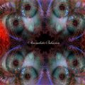 V.A / Anomalistic Behaviors