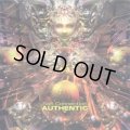 【お取り寄せ】 Safi Connection / Authentic