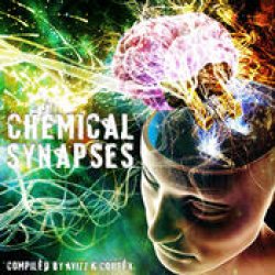 画像1: V.A / Chemical Synapses