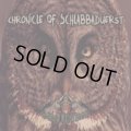 V.A / Chronicle Of Schlabbaduerst