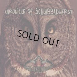 画像1: V.A / Chronicle Of Schlabbaduerst