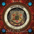 Tropical Bleyage / Melodic Perception