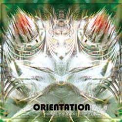 画像1: V.A / Orientation Vol.4