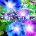 PSYCHOZ / MORNING GLORY