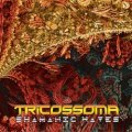 TRICOSSOMA / SHAMANIC WAVES