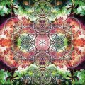 V.A / Mind Rewind 2