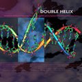 V.A / Double Helix