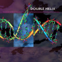 画像1: V.A / Double Helix