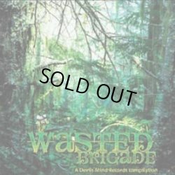 画像1: V.A / Wasted Brigade