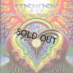 画像1: Cosmosis / Fumbling For The Funky Frequency