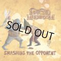 Infected Mushroom / Smashing The Opponent