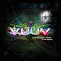V.A / VuuV Festival - 20th Anniversary