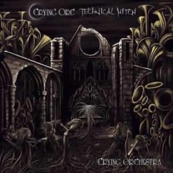 画像1: Crying Orc & Technical Hitch / Crying Orchestra