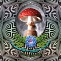 V.A / The Mushroom Speaks