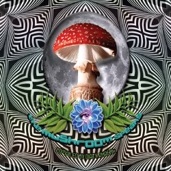 画像1: V.A / The Mushroom Speaks