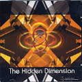 V.A / THE HIDDEN DIMENSION