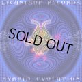 V.A / Hybrid Evolution