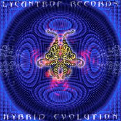 画像1: V.A / Hybrid Evolution