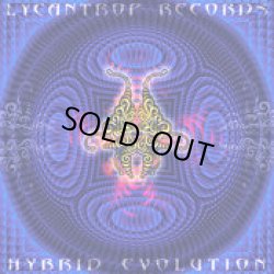 画像1: V.A / Hybrid Evolution