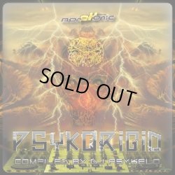 画像1: V.A / Psykorigid