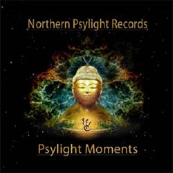 画像1: V.A / PSYLIGHT MOMENTS