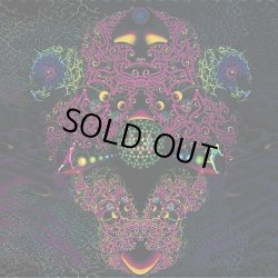 画像1: V.A / Lubra Instincts