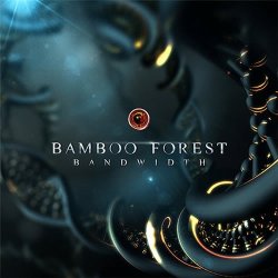 画像1: Bamboo Forest / Bandwidth