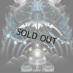 画像1: V.A / Auditory Code