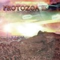 V.A / Protozoa 3