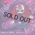 V.A / Immaterial World