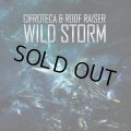 Cifroteca & Roof Raiser / Wild Storm