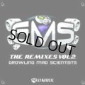 G.M.S / THE REMIXES VOL.2