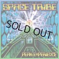 Space Tribe / Peak Experience