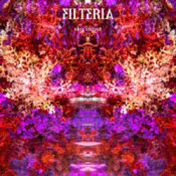画像1: Filteria / Sky Input