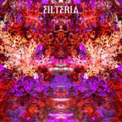 画像1: Filteria / Sky Input