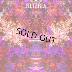 画像1: Filteria / Sky Input