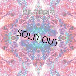 画像1: Filteria / Heliopolis