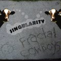 Fractal Cowboys / Singularity
