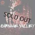 V.A / Carnage Valley