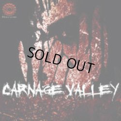 画像1: V.A / Carnage Valley