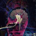V.A / A Chain Of Mind