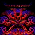 【お取り寄せ】 V.A / TRIBALESSENCE