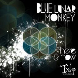 画像1: Blue Lunar Monkey / Here & Now