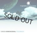 Terranoise / Cross-Dimensional Feedback