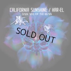 画像1: California Sunshine / Dark Side Of The Brain