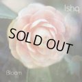 Ishq / Bloom