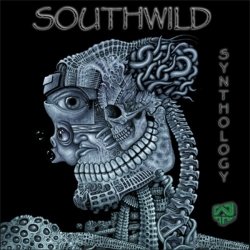 画像1: Southwild / Synthology